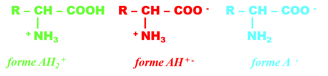 Acide a amine formes