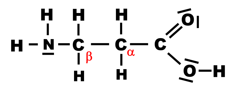 B alanine