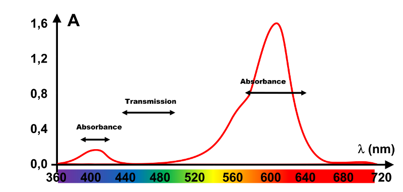 Exo23 1