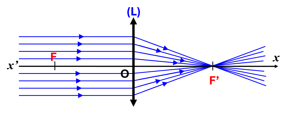 Foyer lentille