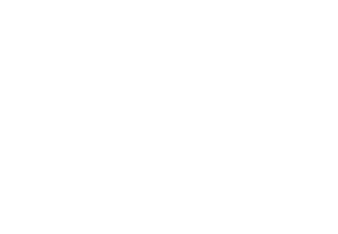 Methanoatedethyle